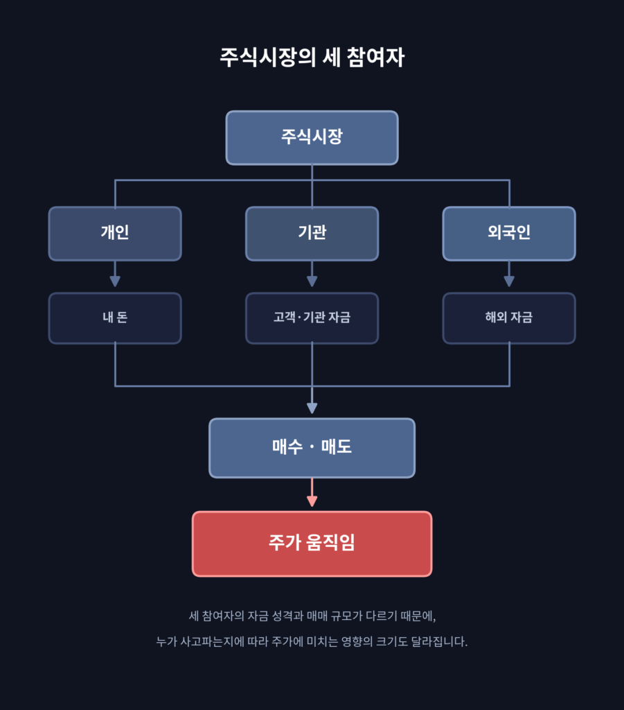 주식시장에서 개인, 기관, 외국인의 참여 인포그래픽